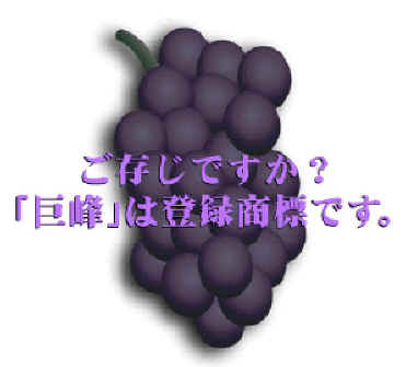 ͓o^WłB